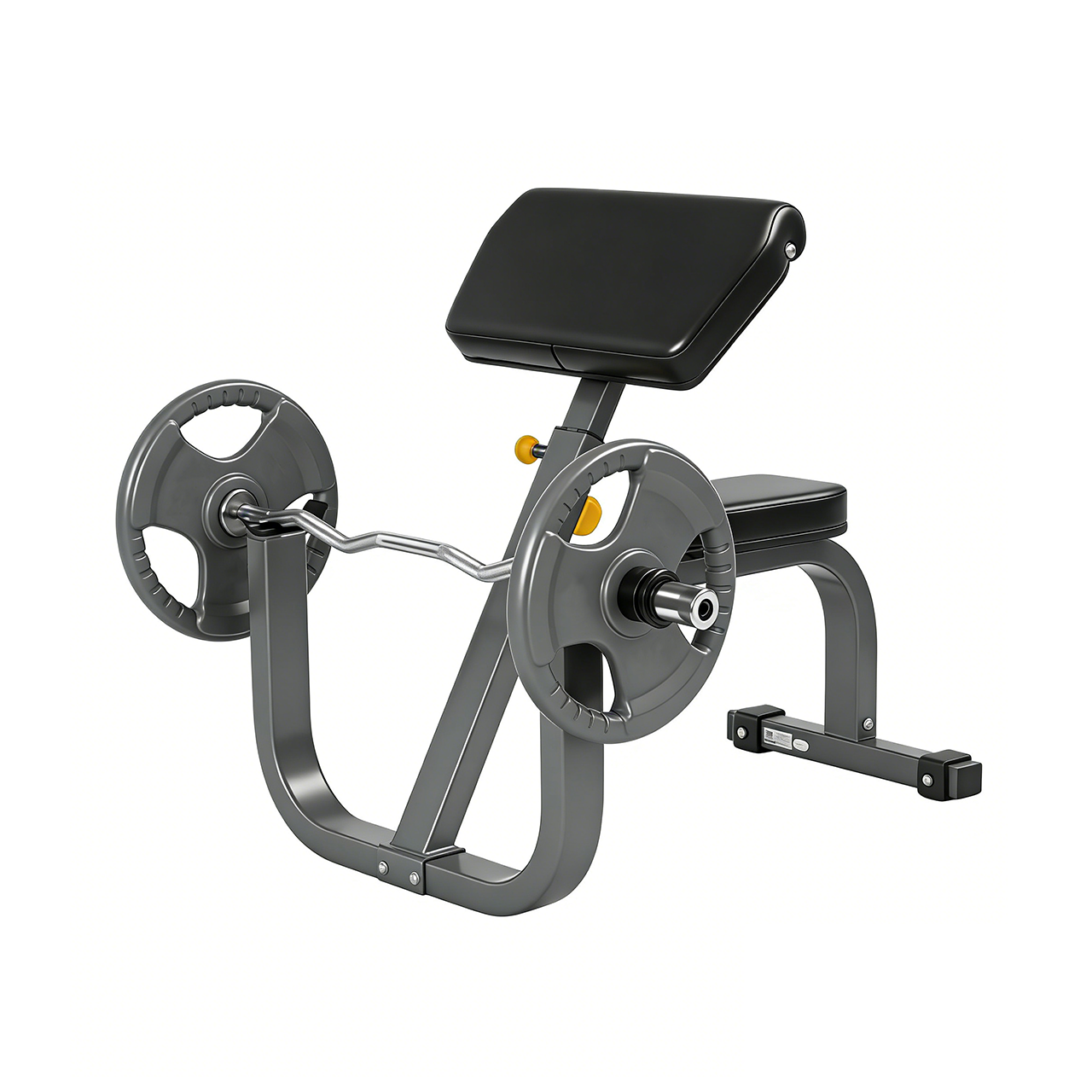 Seated Arm Curl | HSPC