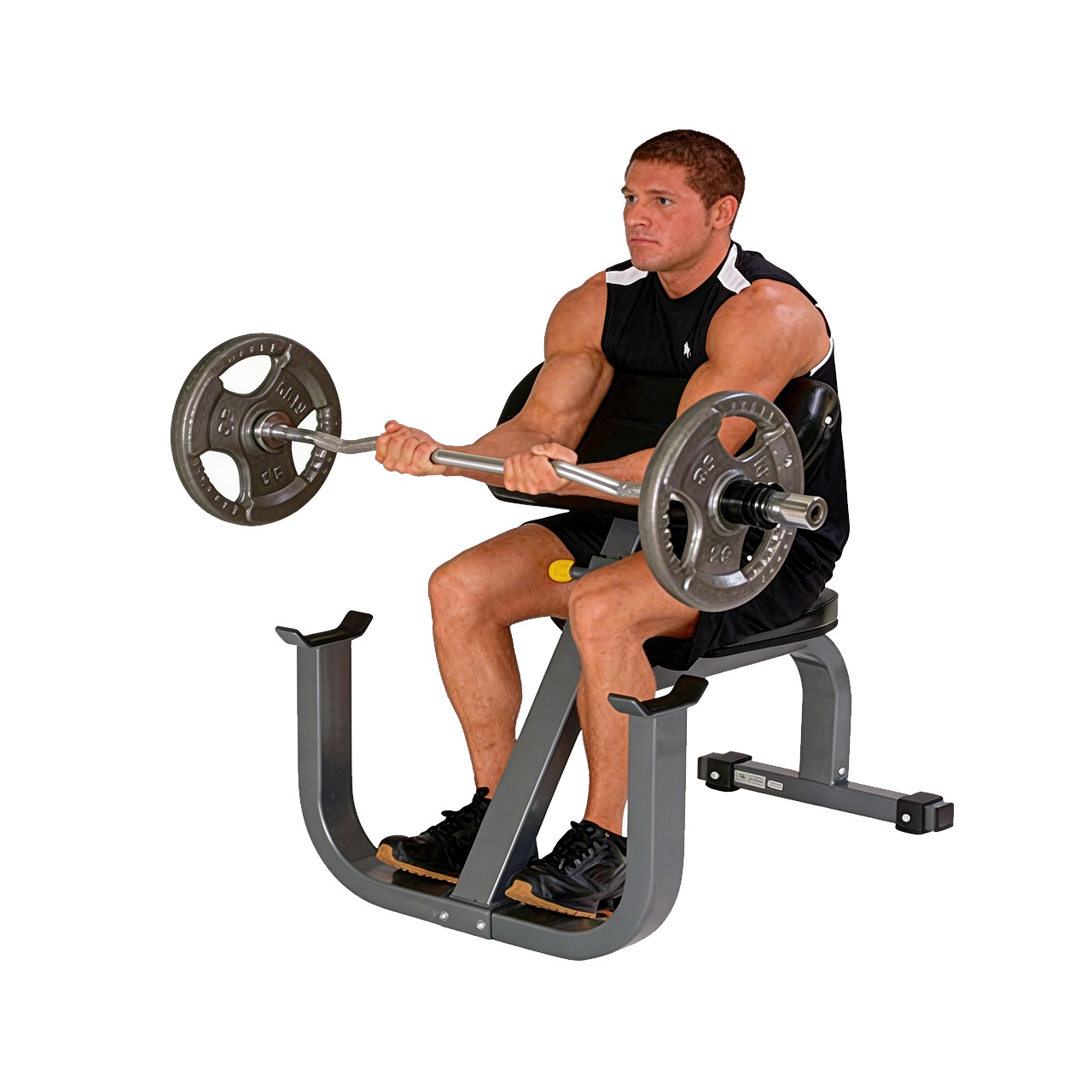 Seated Arm Curl | HSPC