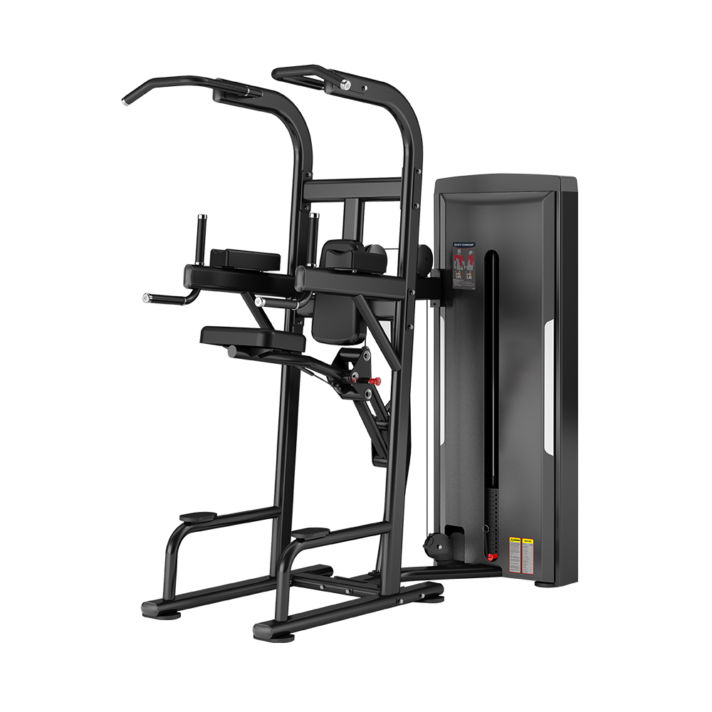 Assisted Chin Up / Dip Station | X008